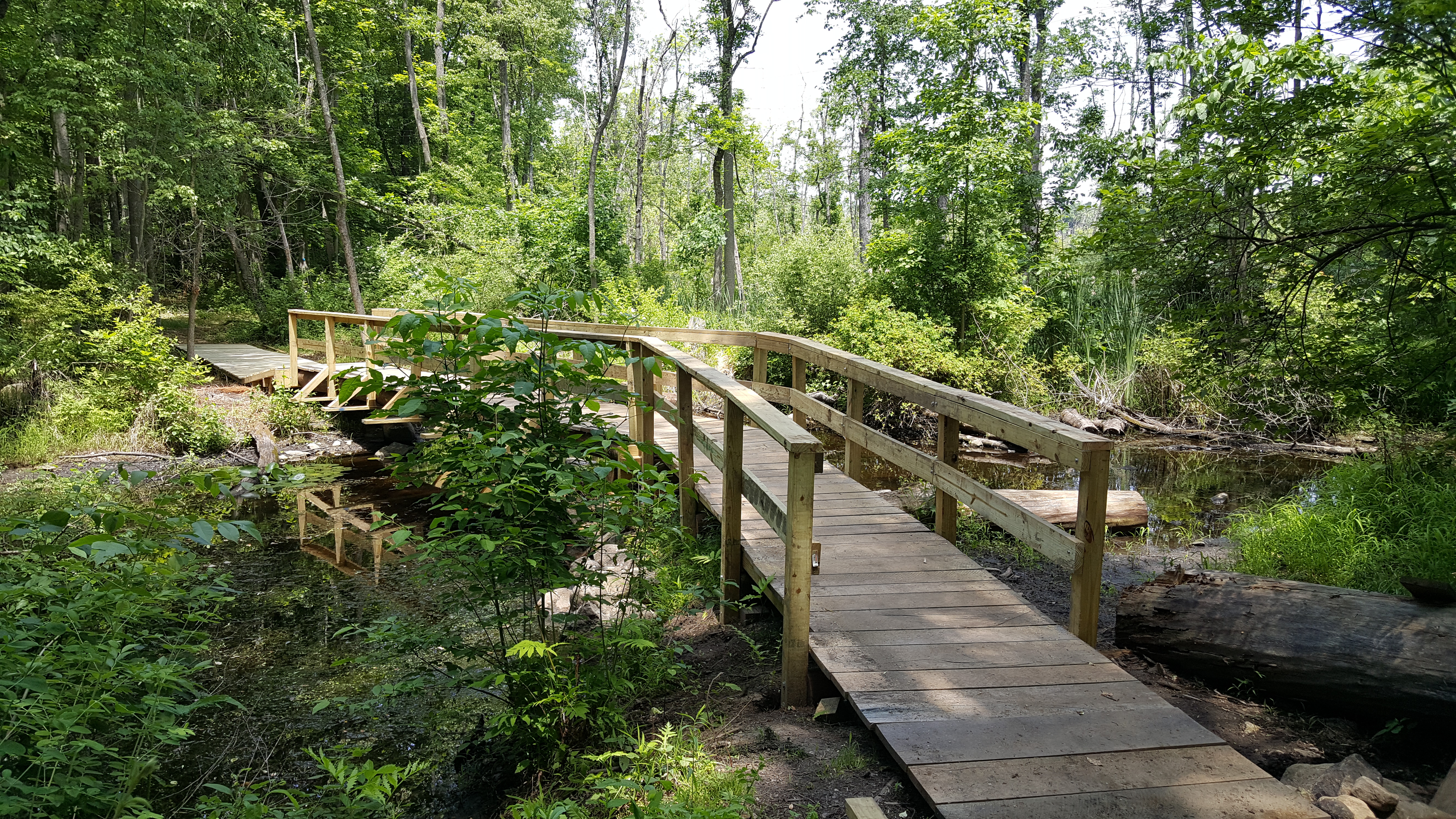Crom PondStream Crossing Outlet bridge