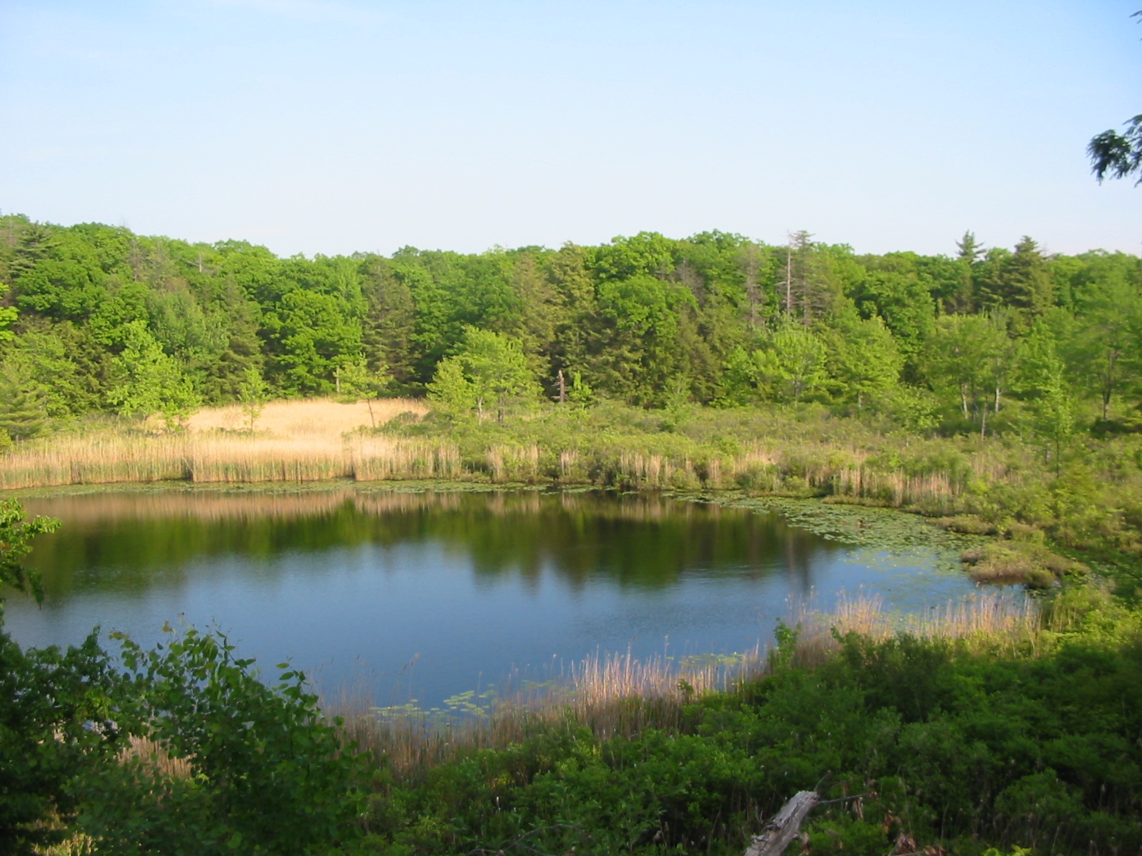 Green Pond - Photo by Daniel Chazin