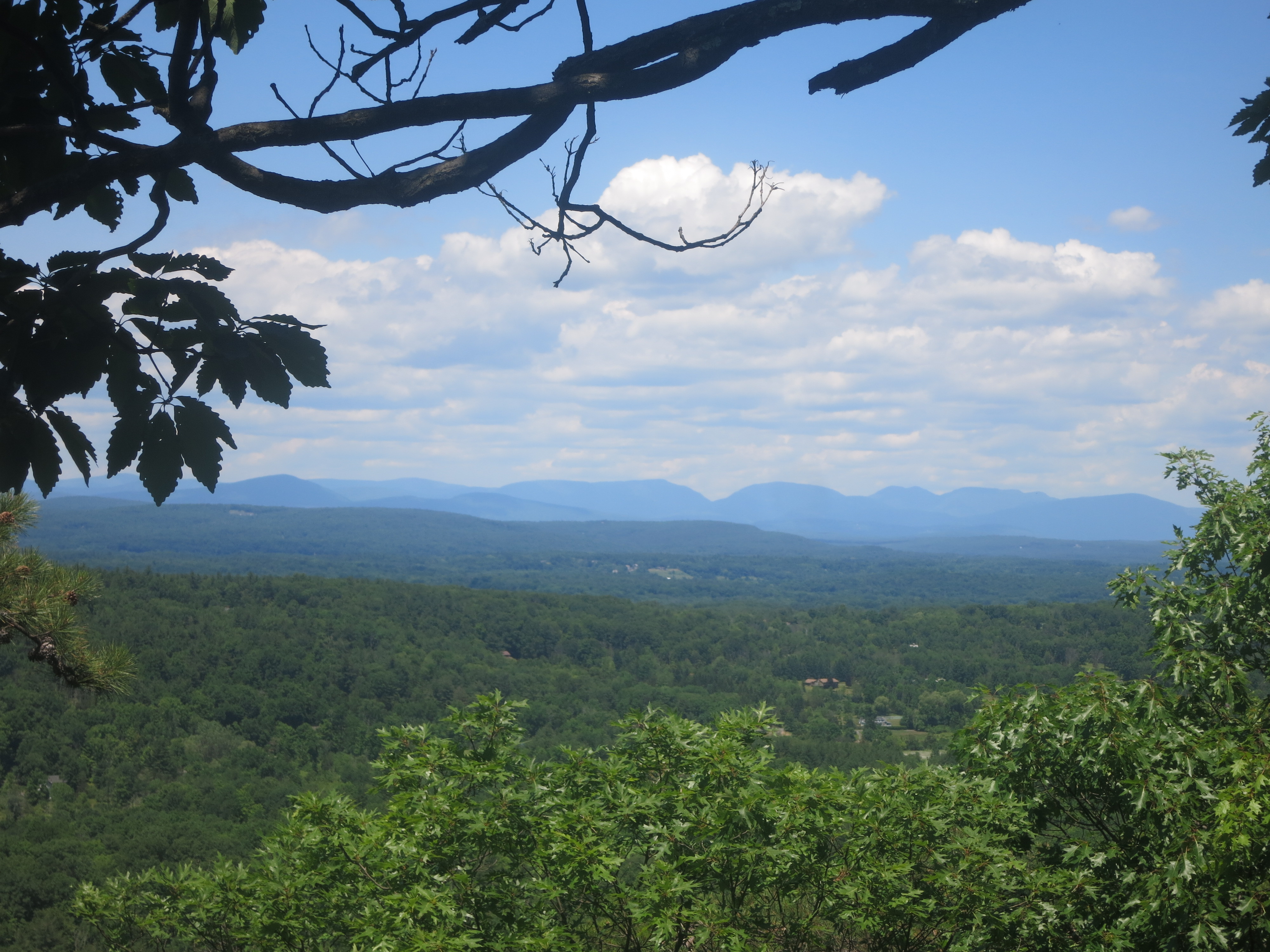 View of the Devil's Path mountains in the eastern Catskills from the Undivided Lot Trail - Photo by Daniel Chazin