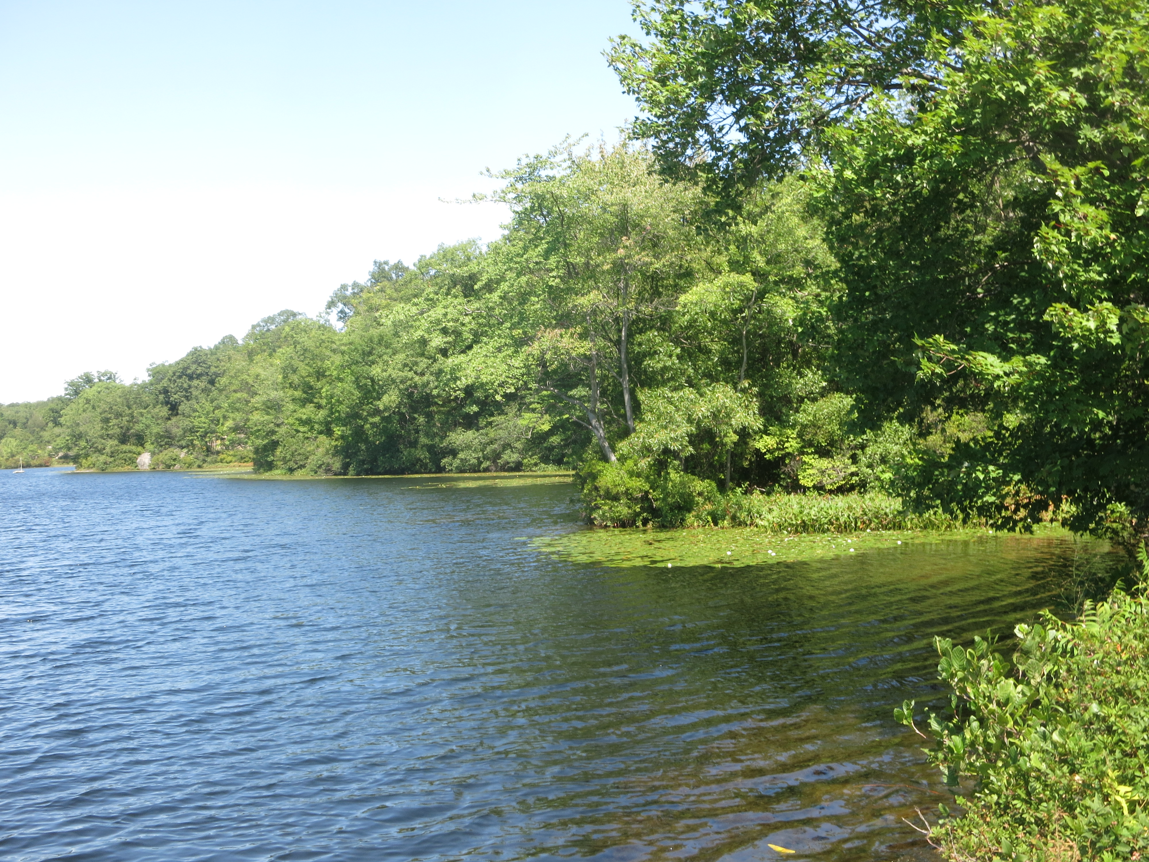 Ramapo Lake - Photo by Daniel Chazin