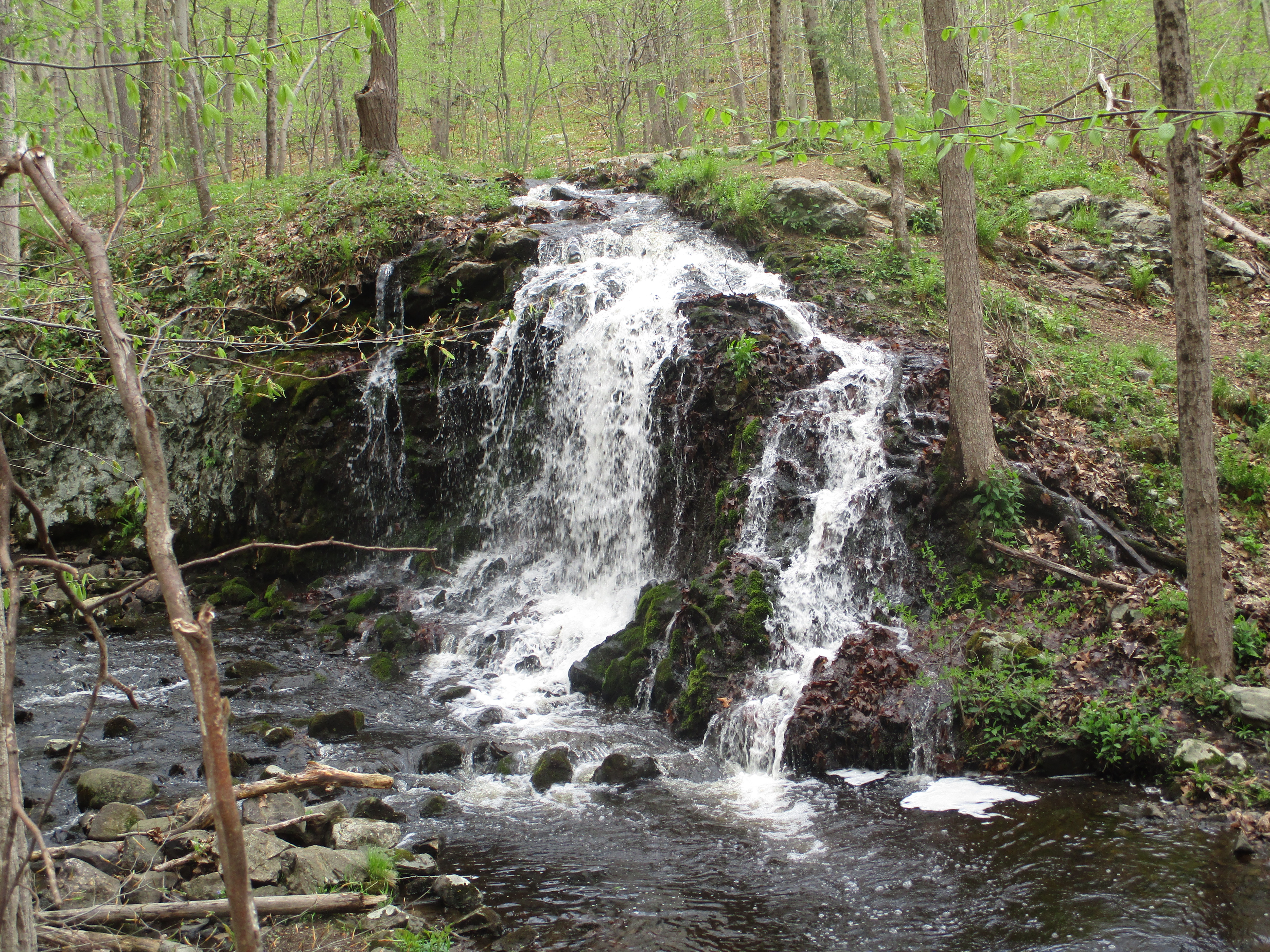 Waterfall along the Yellow Trail - Photo by Daniel Chazin