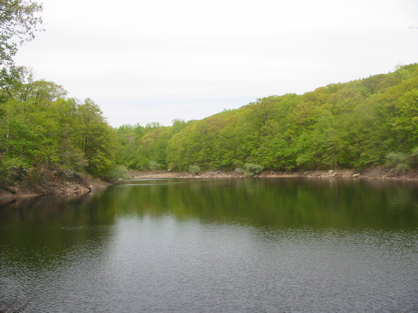 Weyble Pond - Photo by Daniel Chazin