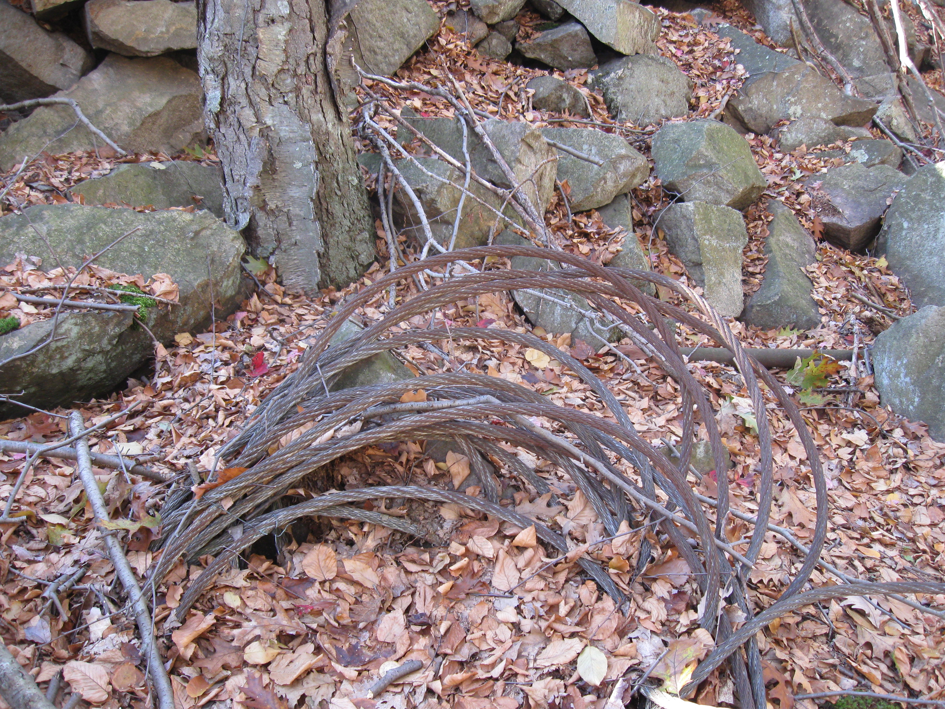 Discarded cables Photo: Jane Daniels