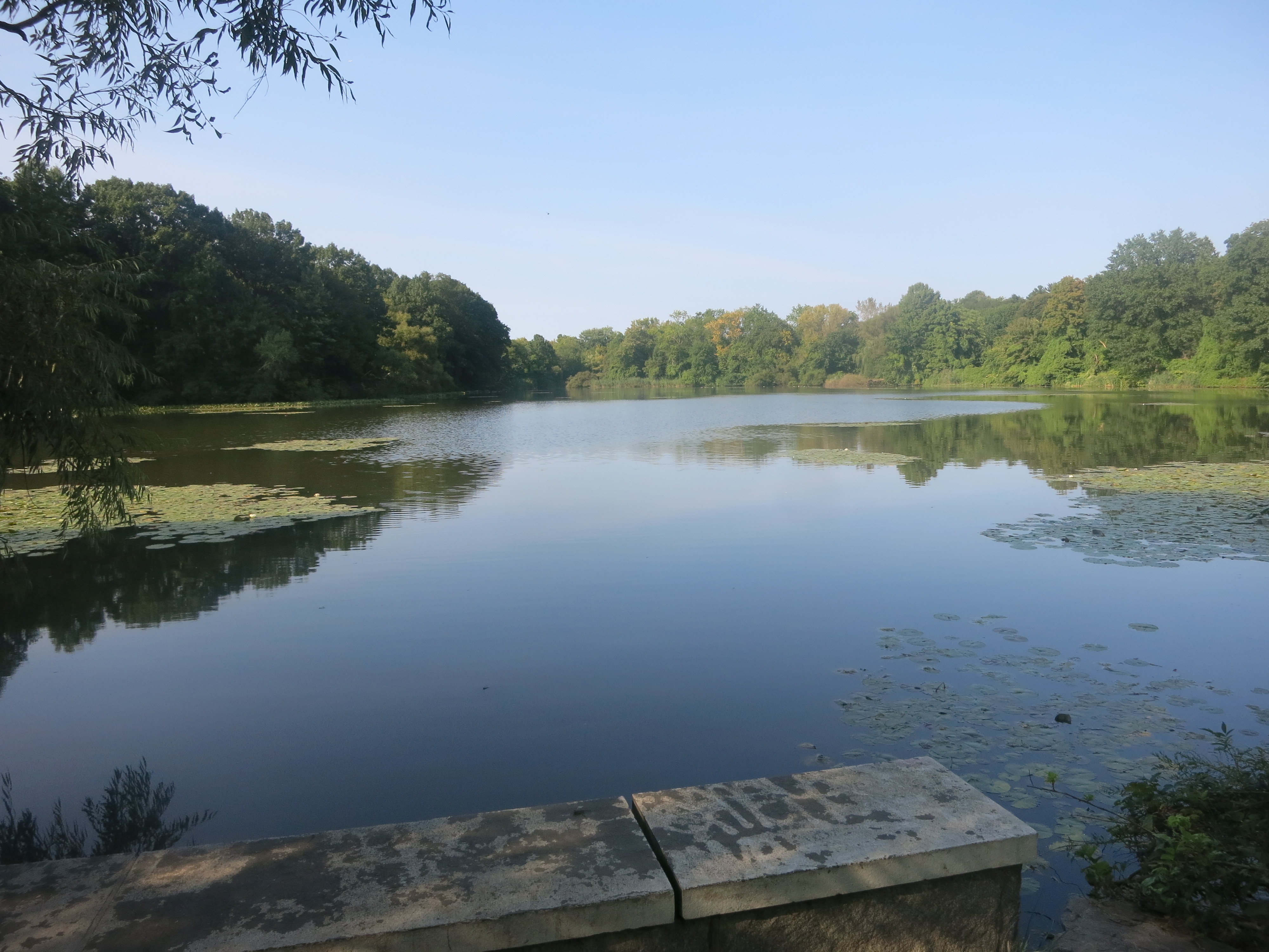Van Cortlandt Lake - Photo by Daniel Chazin
