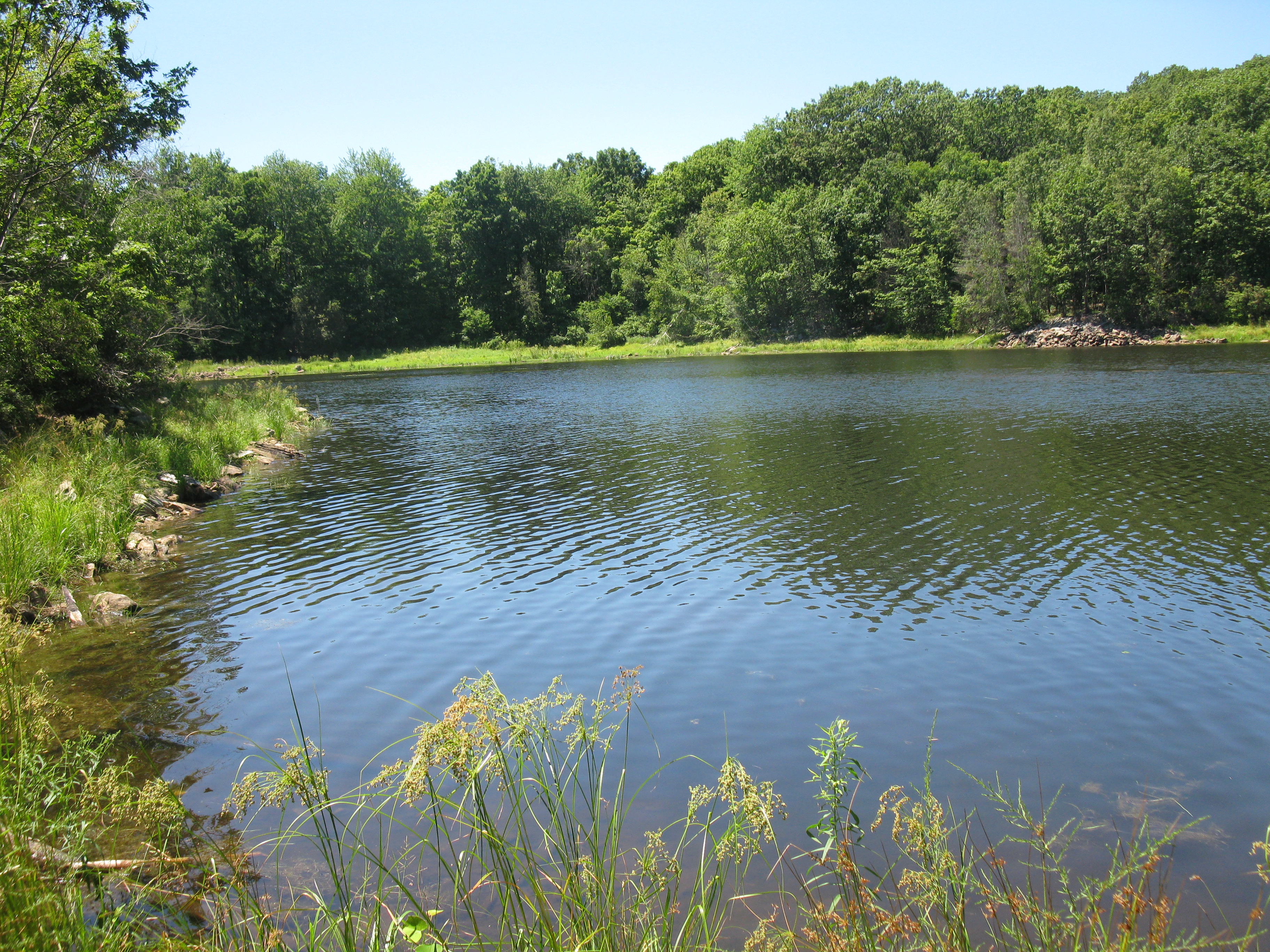 John Allen Pond - Photo by Daniel Chazin