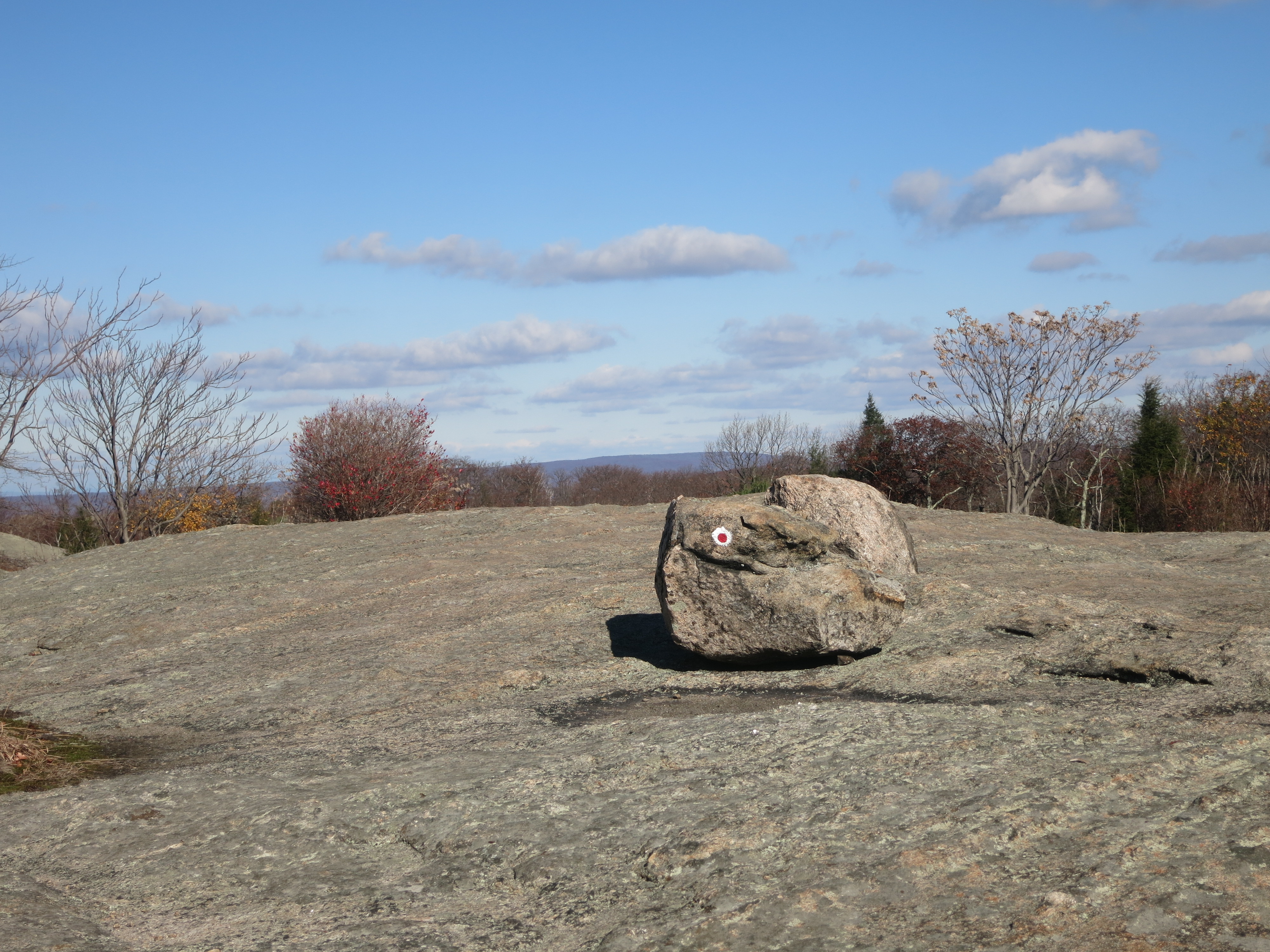 Harriman State Park, Iron Mines Loop, R-D Trail, Bald Rocks. Photo by Daniel Chazin.