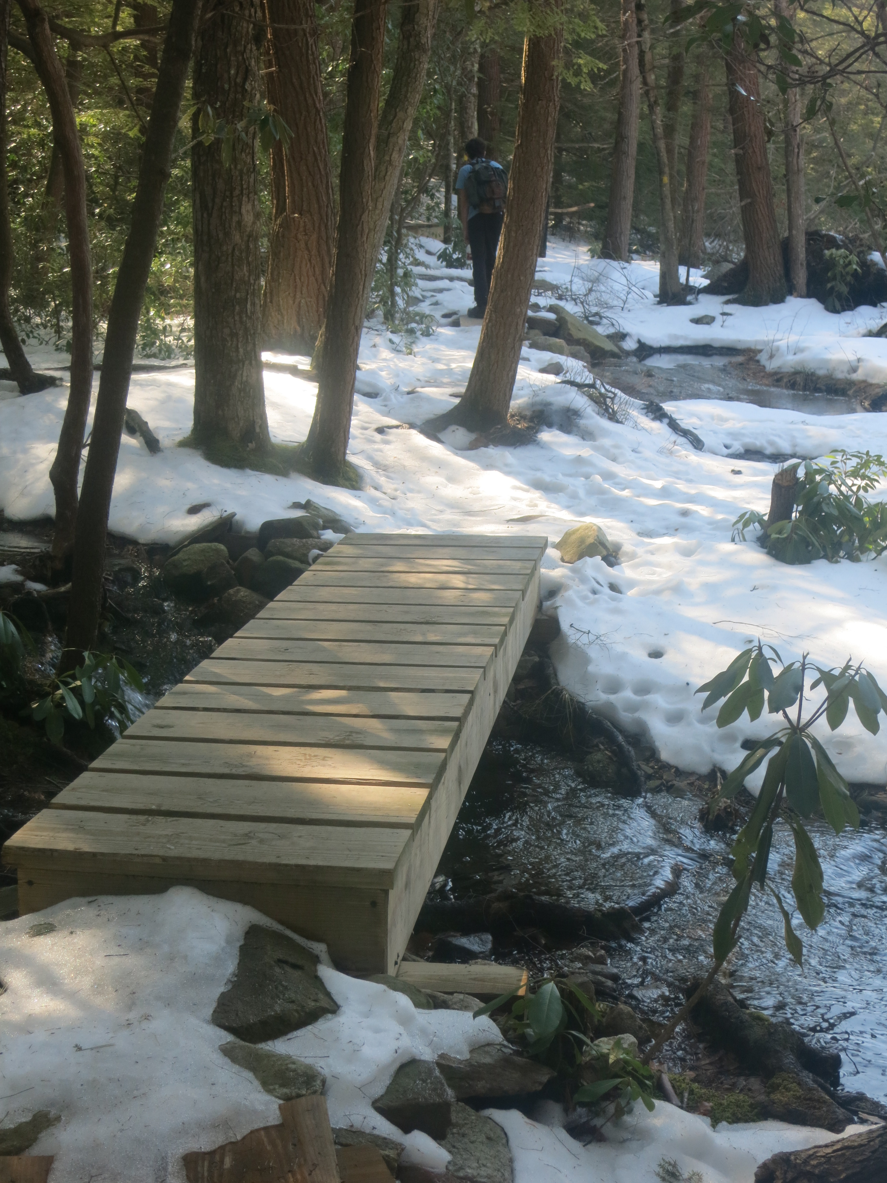 Foot bridge on the Mossy Glen Trail in Minnewaska. Photo by Daniel Chazin.
