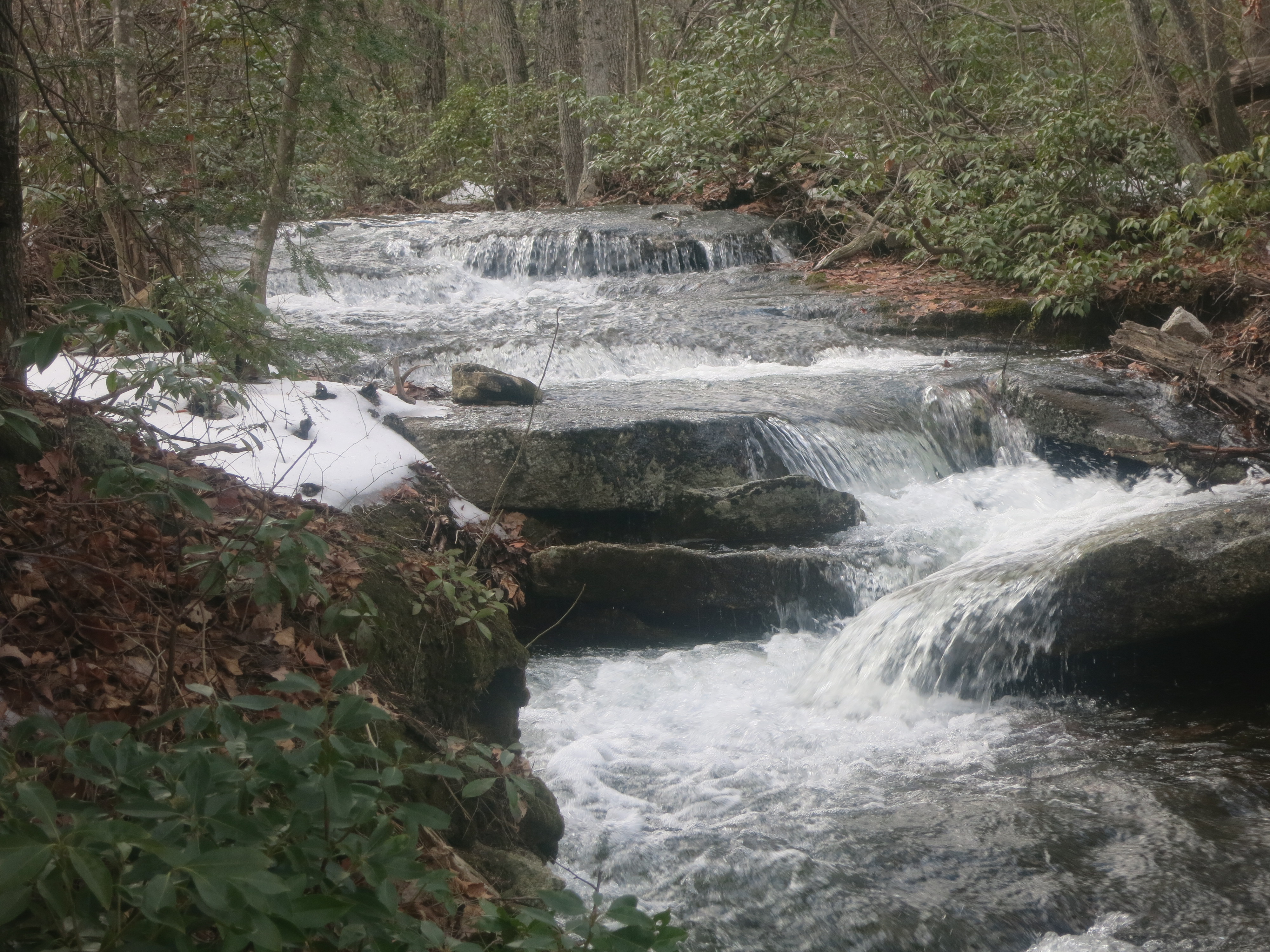 A cascade along the Jenny Lane Trail in Minnewaska. Photo by Daniel Chazin.