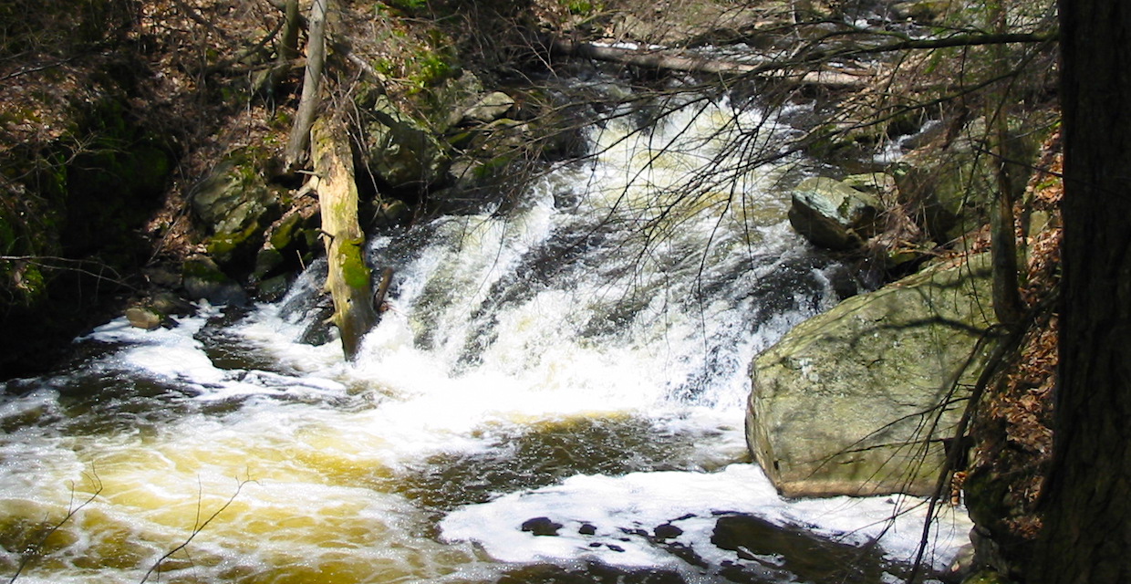 The rocky gorge of the Black River - Black River County Park - Photo: Daniel Chazin
