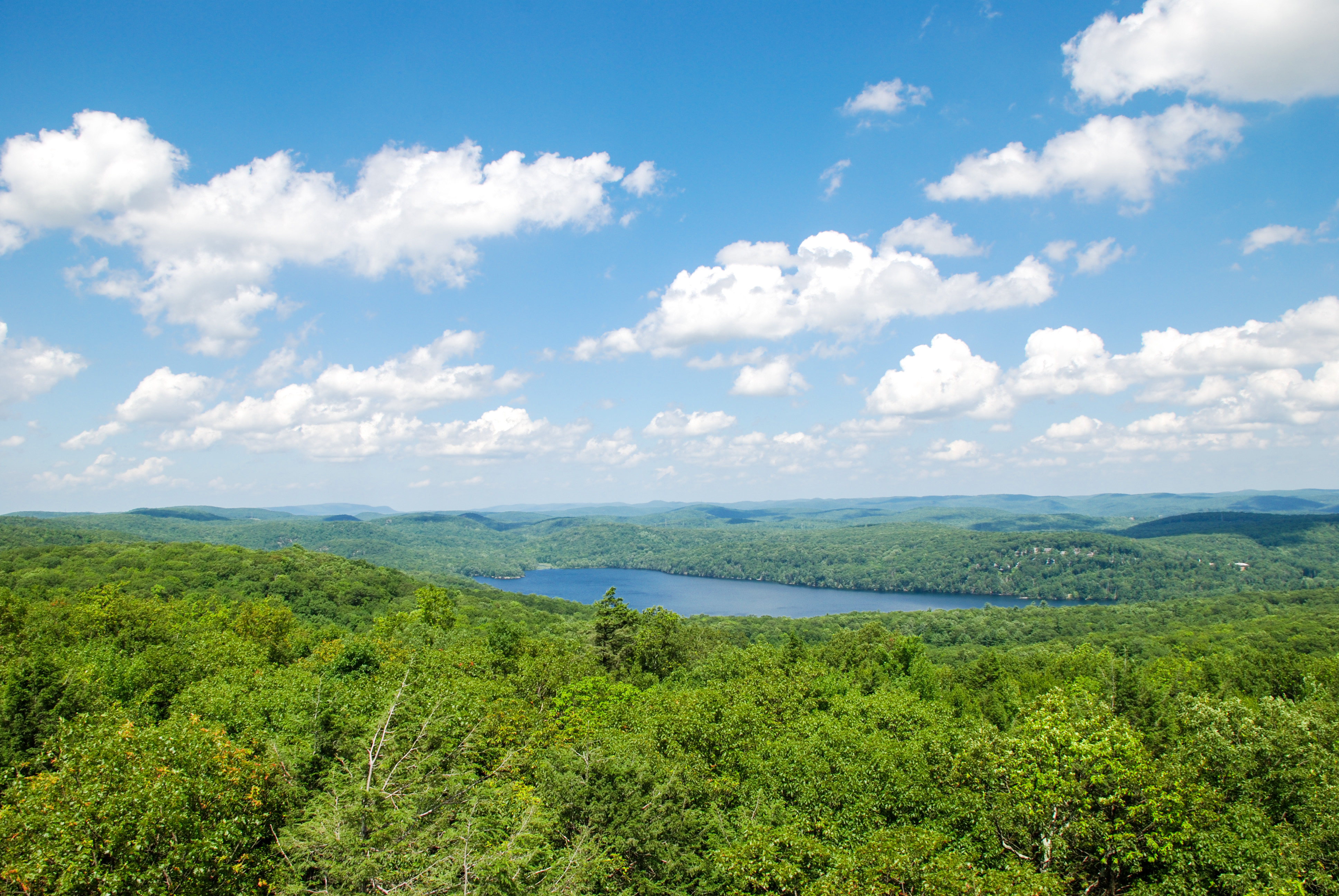 Sterling Lake from the Fire Tower - Photo credit: Jeremy Apgar Sterling Forest Fire Tower at Sterling Lake from the Fire Tower - Fire Tower - Photo credit: Jeremy Apgar