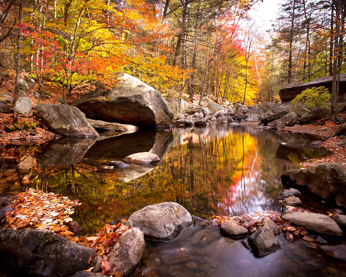 Autumn reflections along the Stony Brook Trail - Photo credit: Susan Magnano Autumn reflections along the Stony Brook Trail - Photo credit: Susan Magnano
