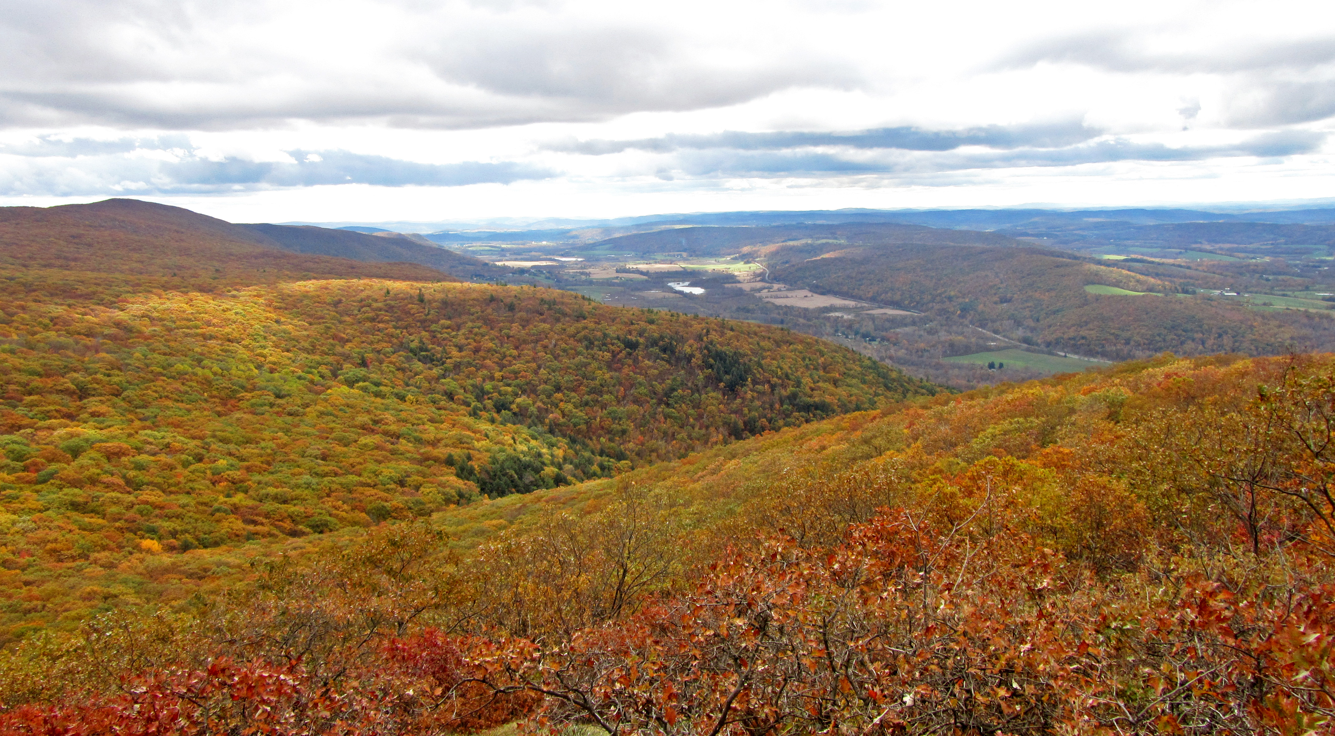 View from the South Taconic Trail on Alander Mountain at Taconic State Park - Photo credit: Michael Schenker