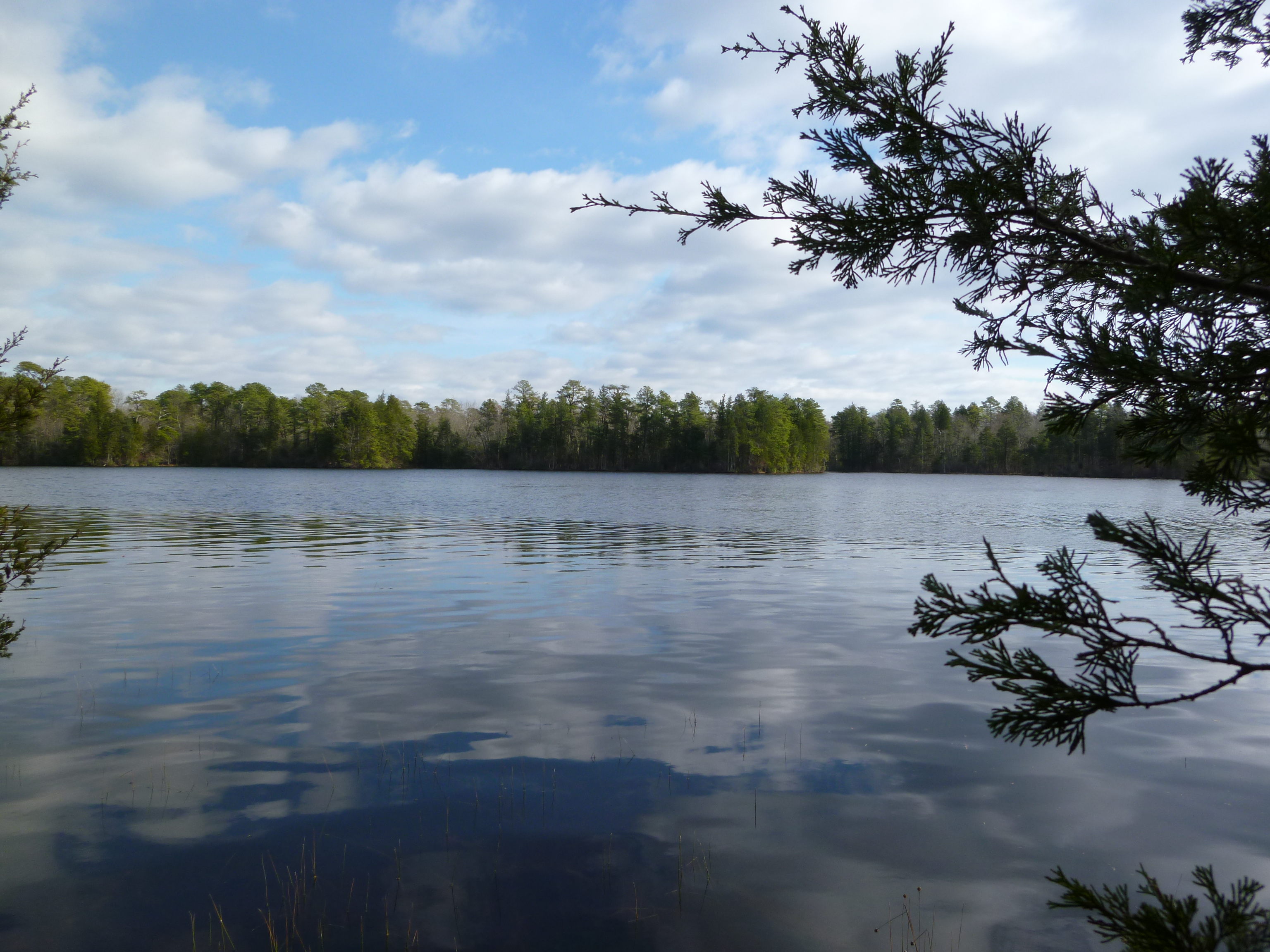 East Creek Pond - Photo by Daniela Wagstaff East Creek Pond at Belleplain State Forest - Photo by Daniela Wagstaff