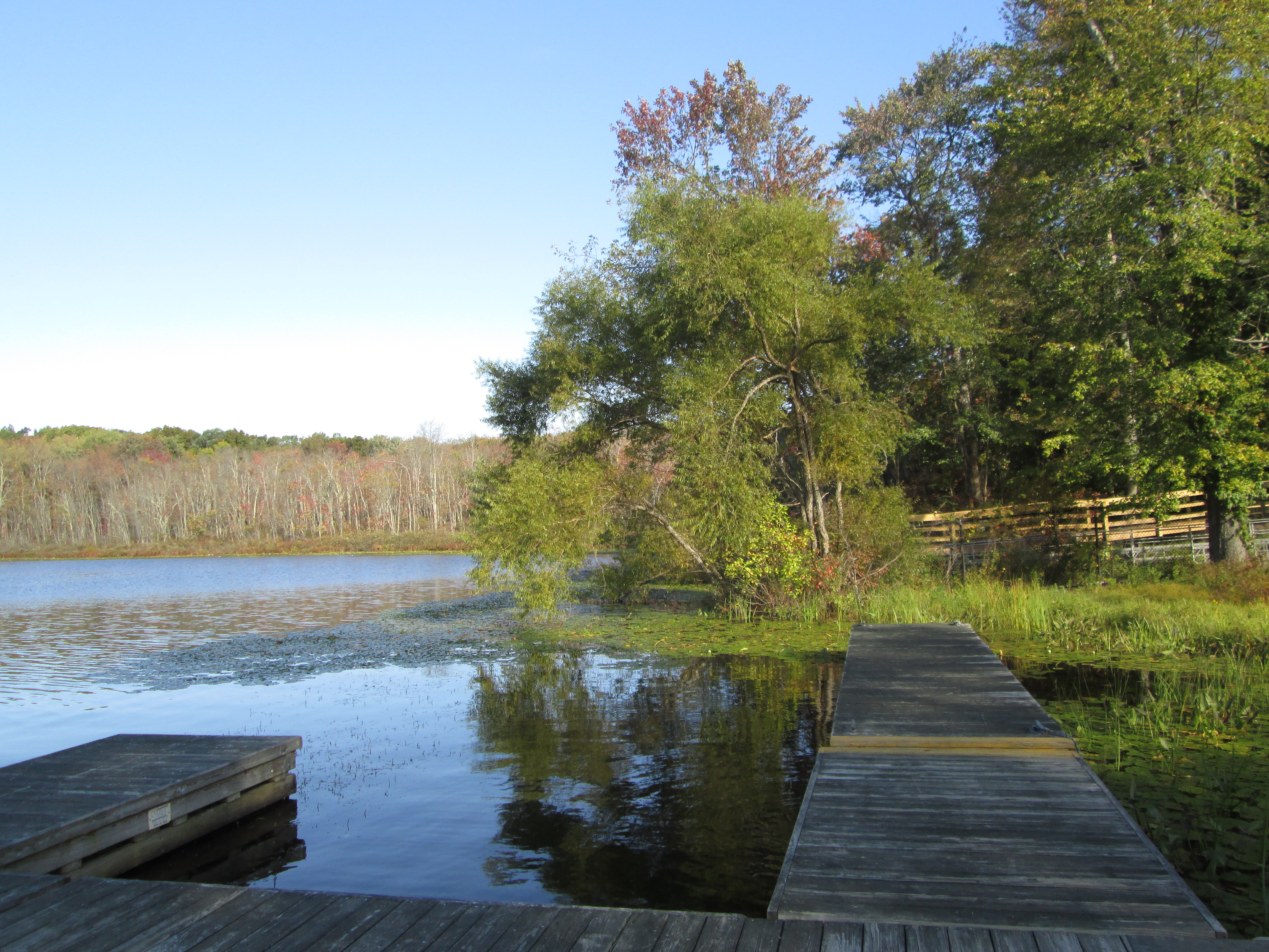 At the boat rental dock - FDR State Park Photo: Jane Daniels