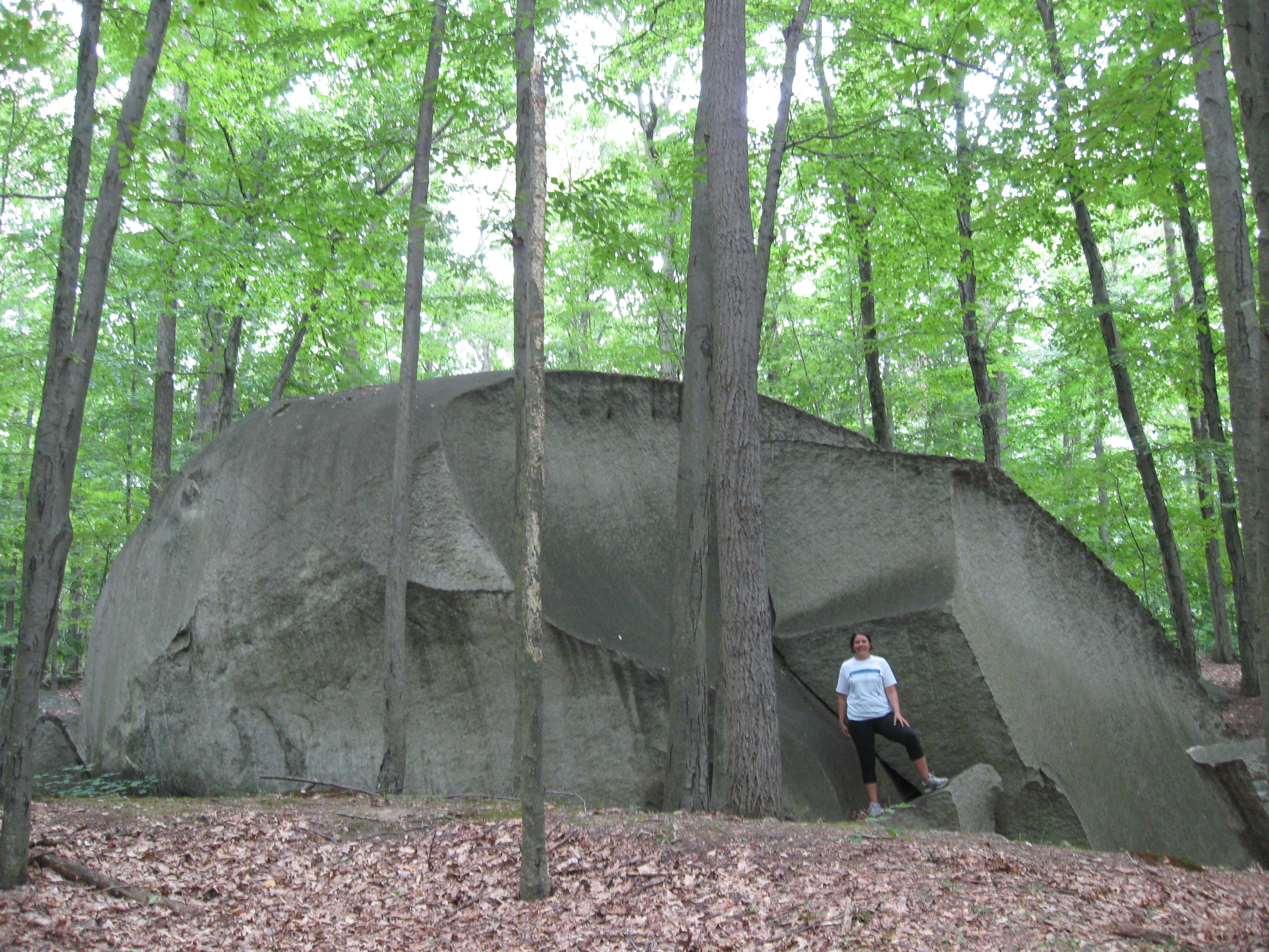 A almost house size glacial erratic Photo: Jane Daniels