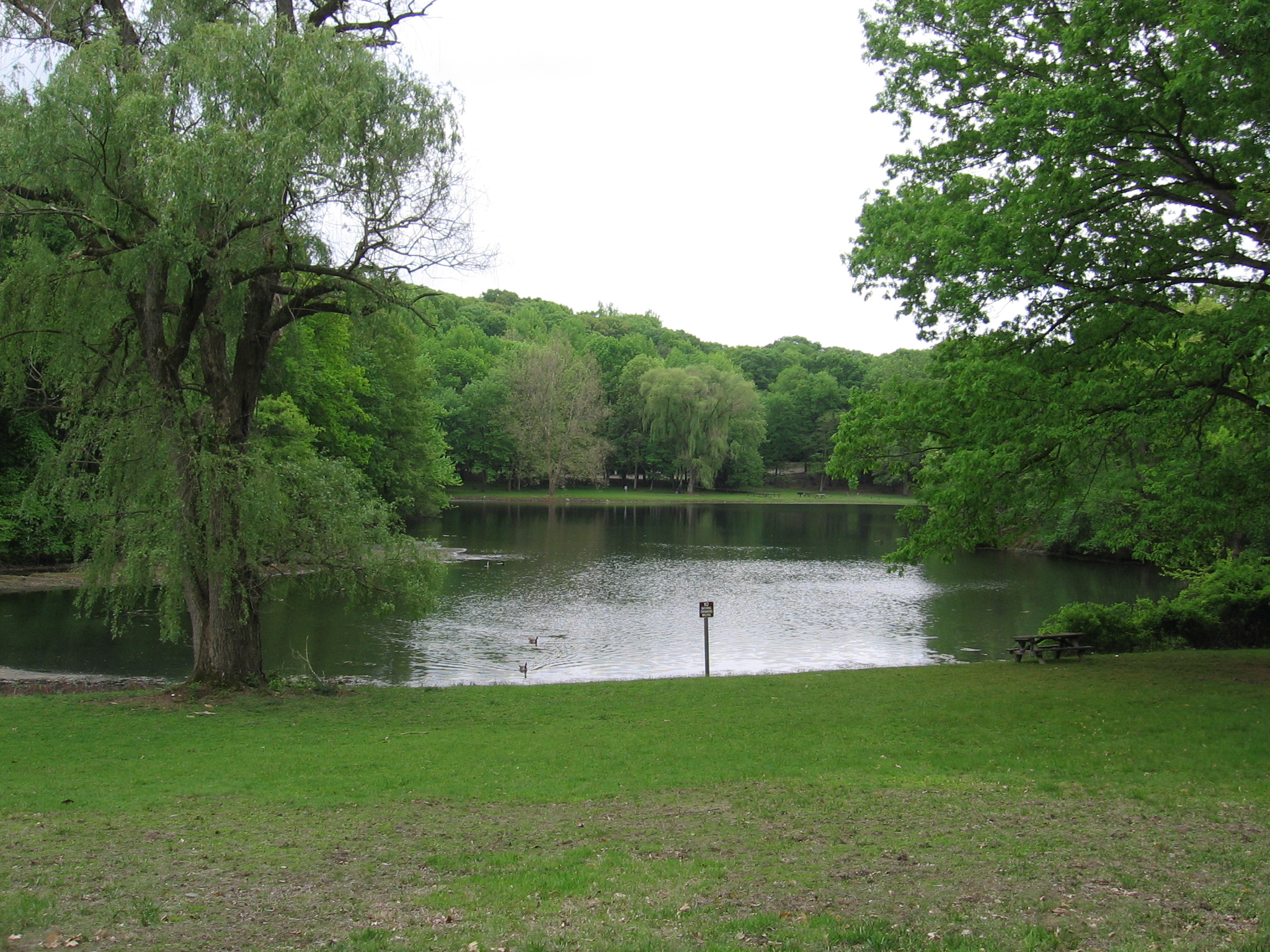 Loundsbury Pond: Photo: Jane Daniels