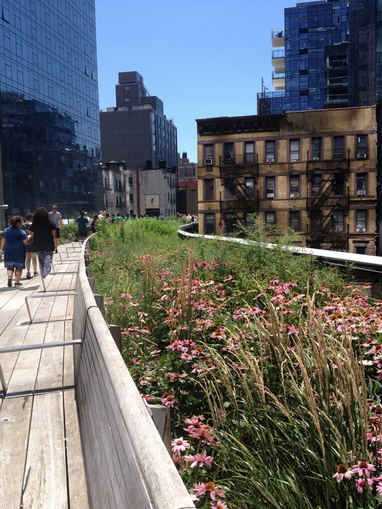 High Line Elevated Park in NYC - Photo - Frank Fernandez High Line Elevated Park in NYC - Photo - Frank Fernandez