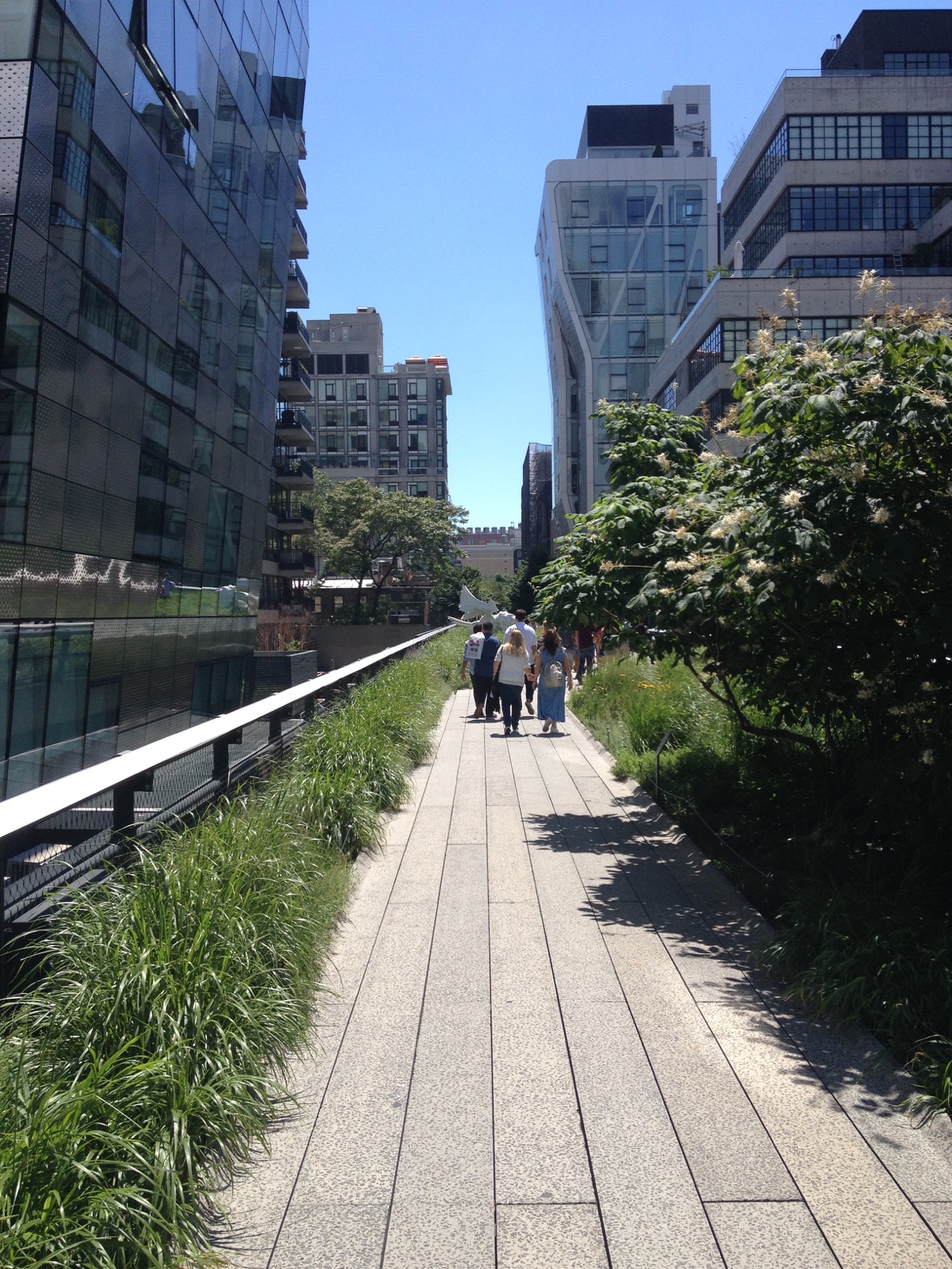 Walkway on the High Line elevated NYC Park - Photo Frank Fernand Walkway on the High Line elevated NYC Park - Photo Frank Fernandez