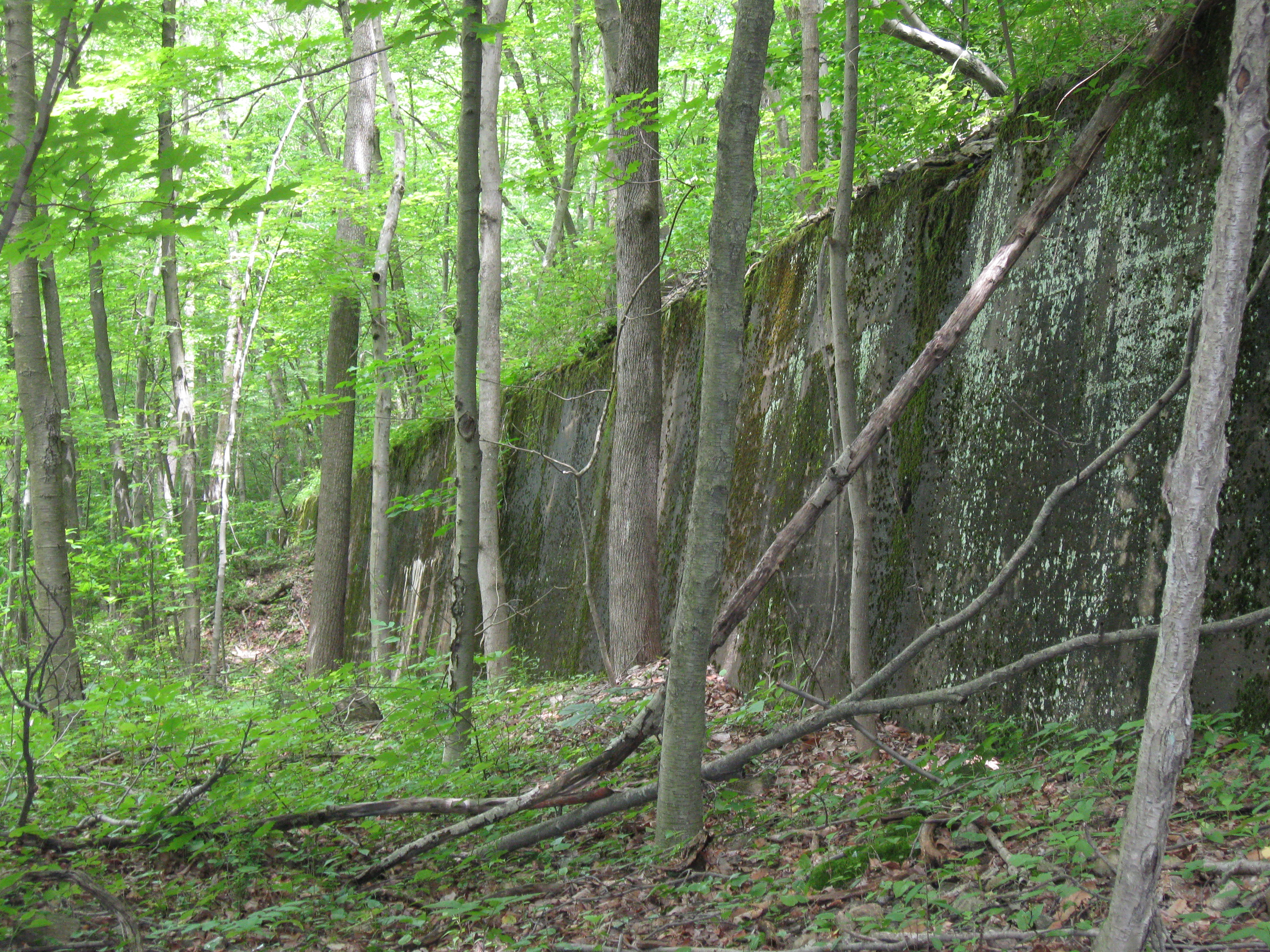 Crusher Wall at Cranberry Lake Preserve  Photo: Jane Danielsr