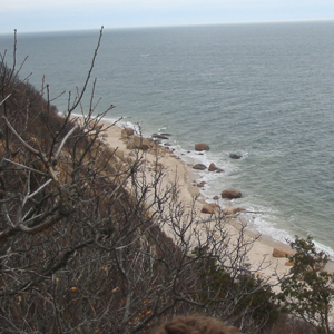 Nature on Long Island. Photo by Daniel Chazin. Nature on Long Island. Photo by Daniel Chazin.