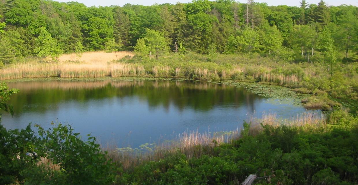 Green Pond - Photo by Daniel Chazin