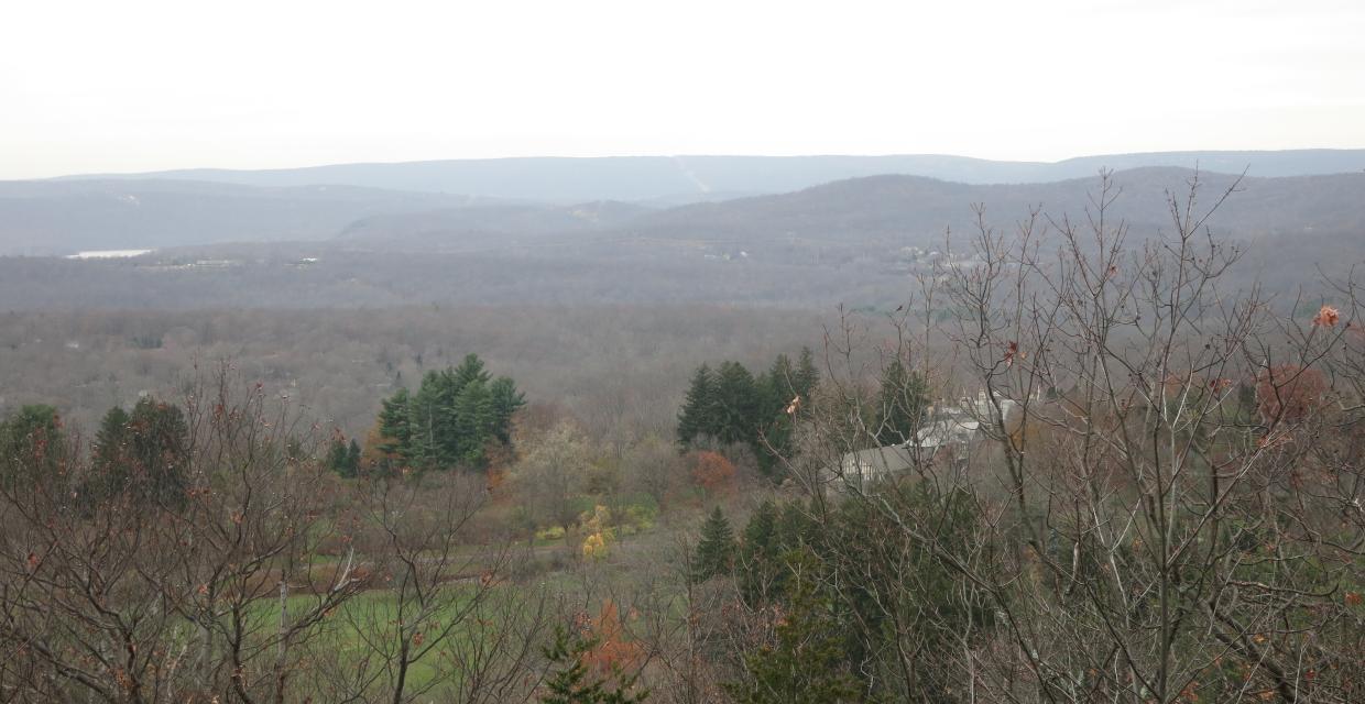 West-facing view from Mount Defiance - Photo by Daniel Chazin