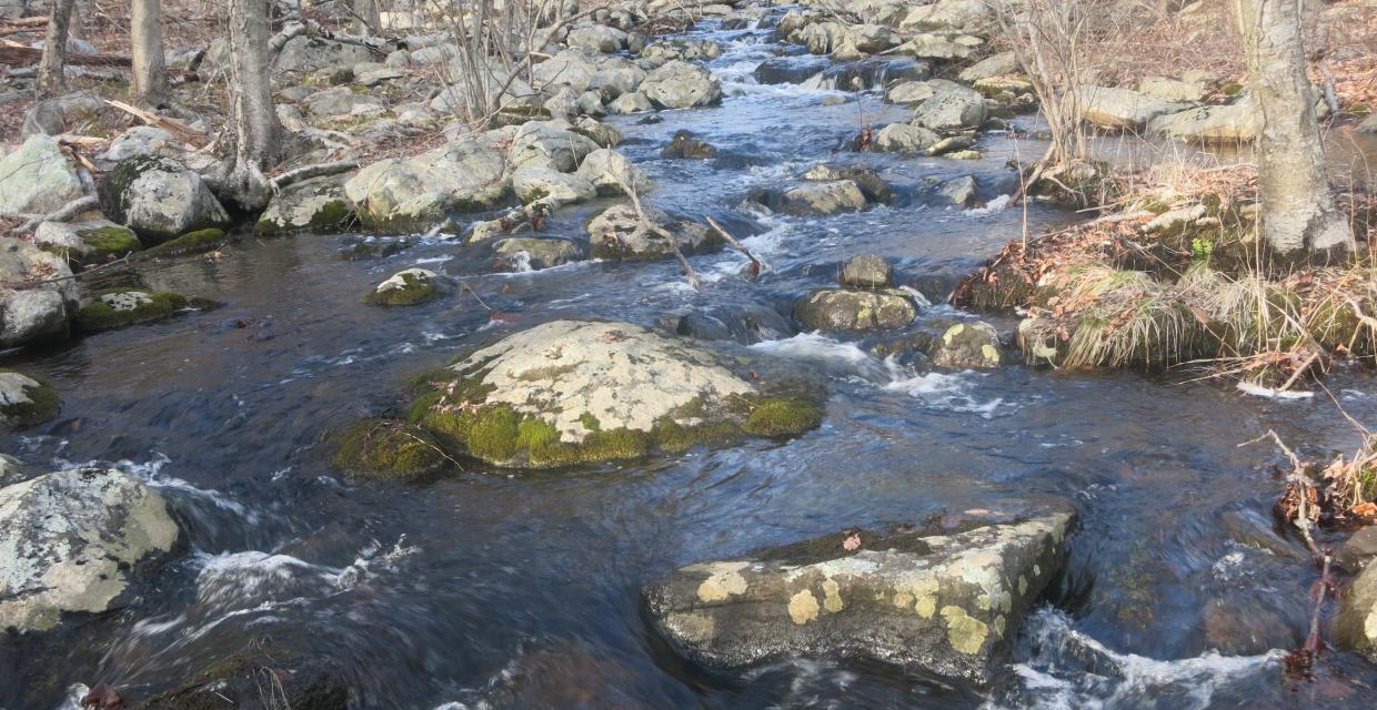 Stream crossing on the Red Back Trail in Sterling Forest State Park. Photo by Daniel Chazin.