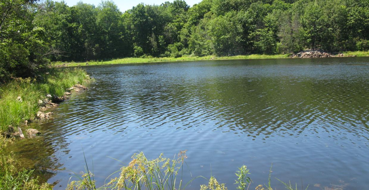 John Allen Pond - Photo by Daniel Chazin
