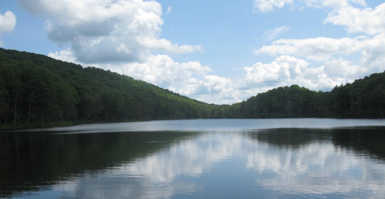 Trout Pond - Photo by Daniel Chazin