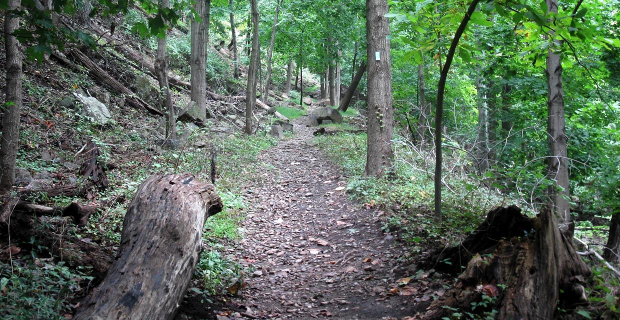 Long Path/Hook Mountain Bike Path Loop to Summit of Hook Mountain - Photo by Daniel Chazin