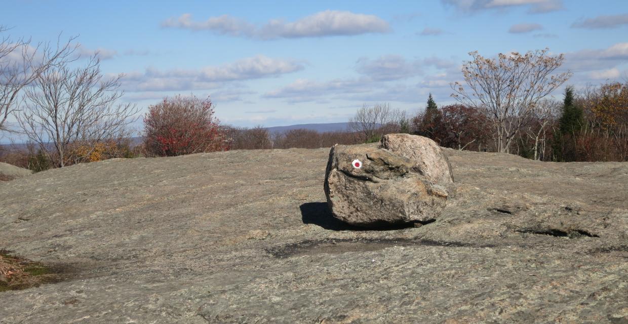 Harriman State Park, Iron Mines Loop, R-D Trail, Bald Rocks. Photo by Daniel Chazin.