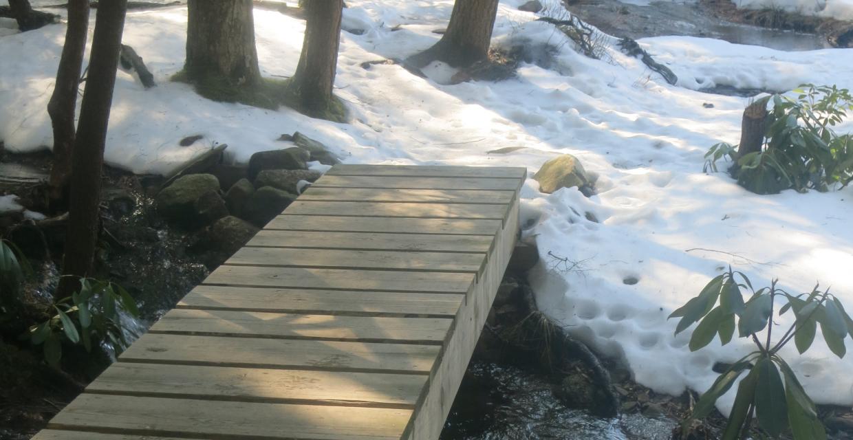Foot bridge on the Mossy Glen Trail in Minnewaska. Photo by Daniel Chazin.