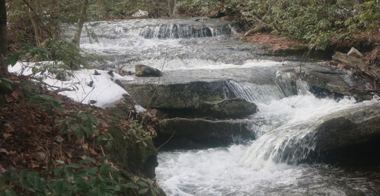 A cascade along the Jenny Lane Trail in Minnewaska. Photo by Daniel Chazin.