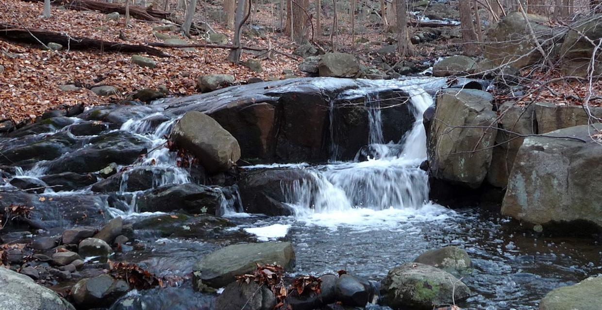 Roaring Brook in the Winter - Lamont Reserve - Photo credit: Jakob Franke