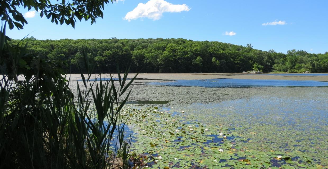 View of Silver Lake in Hamburg Mountain Wildlife Management Area - Photo credit: Daniela Wagstaff