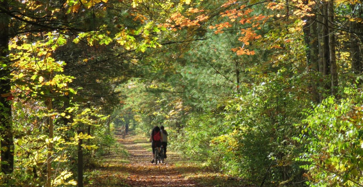 Along the Wallkill Valley Rail Trail - Photo credit: Daniela Wagstaff