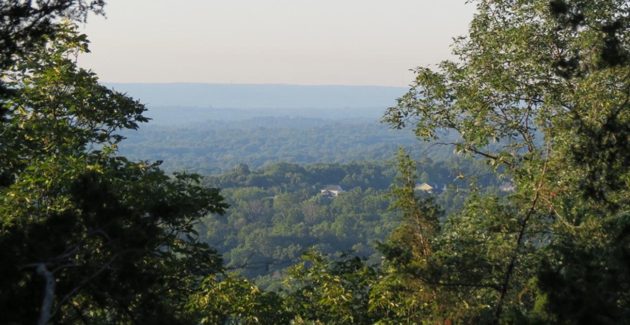 View along the Long Path in South Mountain County Park - Photo credit: Daniela Wagstaff