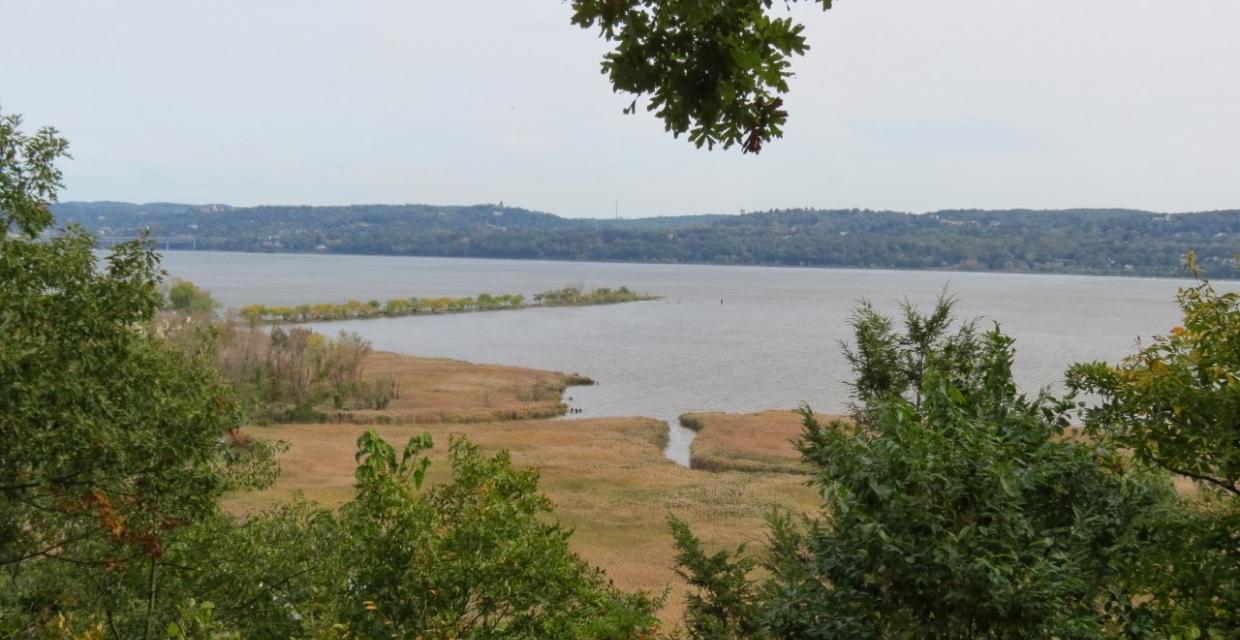 View of the Hudson River - Photo credit: Daniela Wagstaff