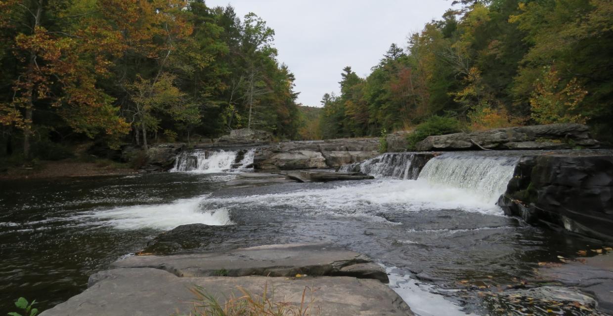 High Falls in the Neversink River - Neversink River Unique Area - Photo credit: Daniela Wagstaff