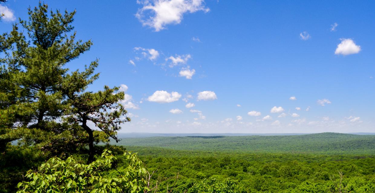 View from the Blue Mountain Loop Trail - Photo credit: Jeremy Apgar