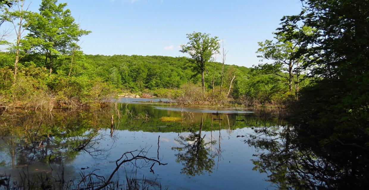 View of Hidden Lake from the Three Lakes Trail - Photo credit: Daniela Wagstaff