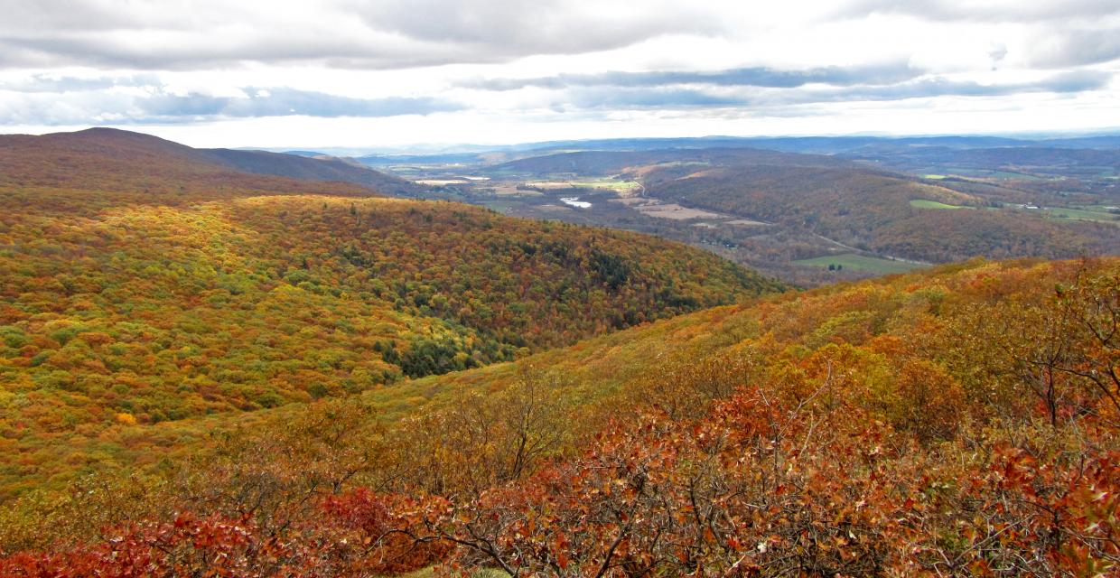 View from the South Taconic Trail on Alander Mountain at Taconic State Park - Photo credit: Michael Schenker
