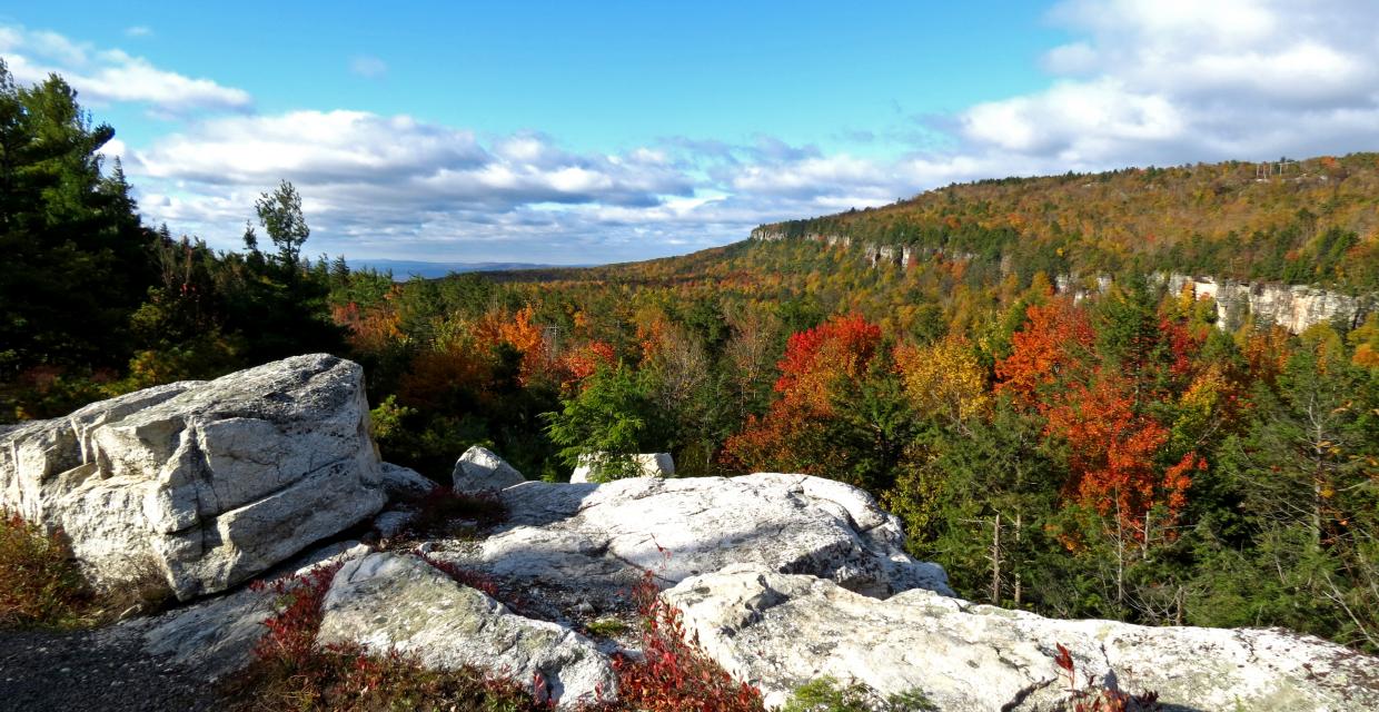 View from the Millbrook Mountain Carriage Road - Photo credit: Daniela Wagstaff