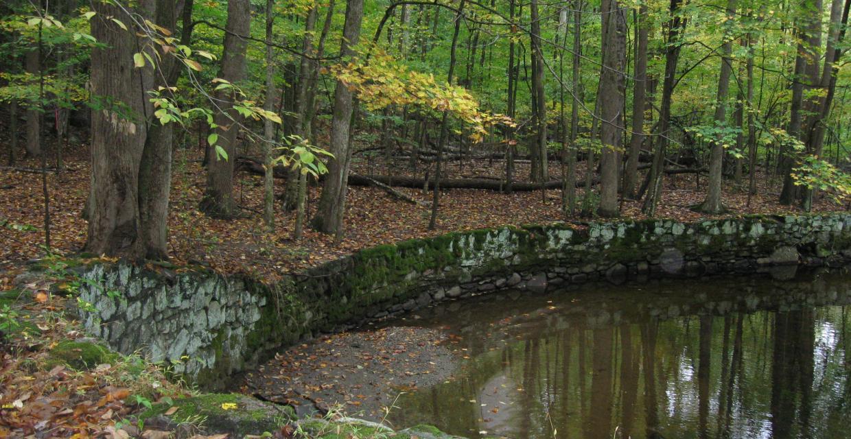 Man-made pond Photo: Jane Daniels