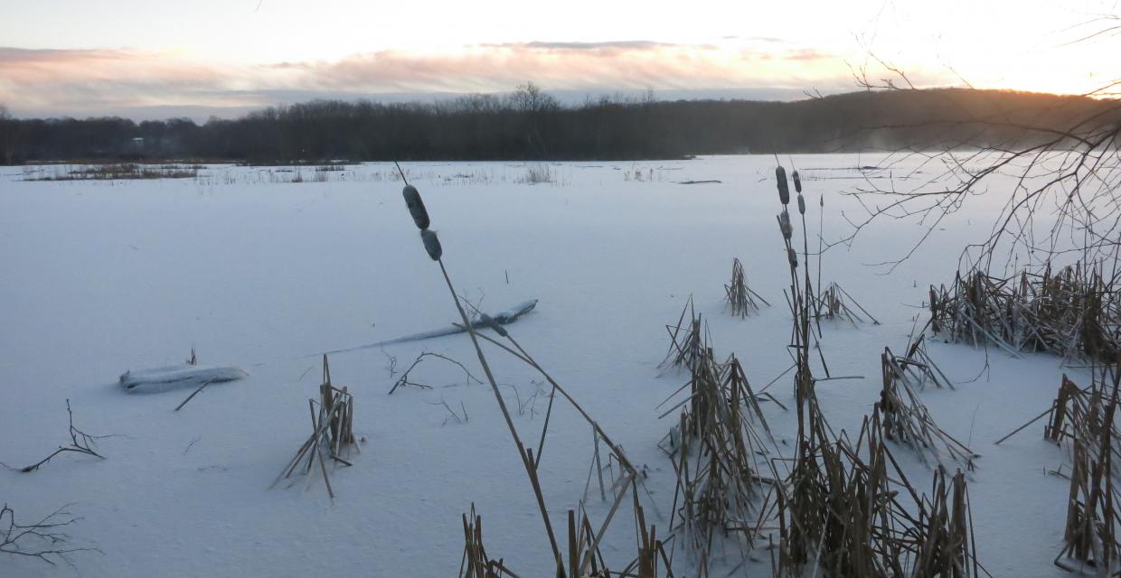 Wawayanda Lake - Photo by Daniel Chazin