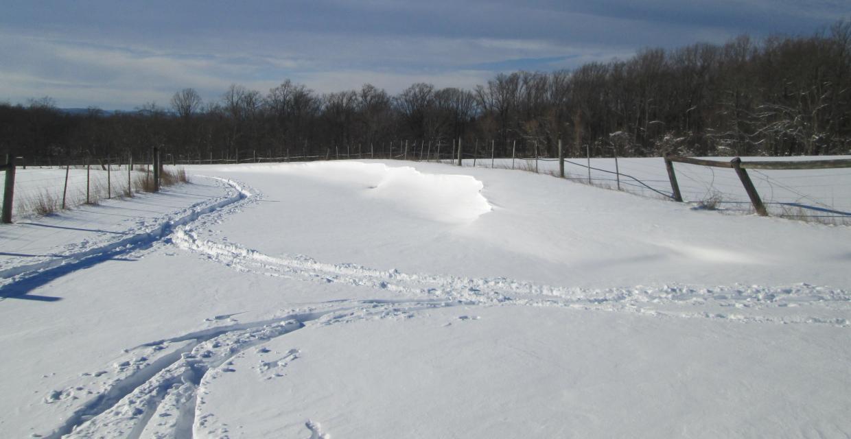 Blue ski overhead on a snow filled field Photo: Jane Daniels