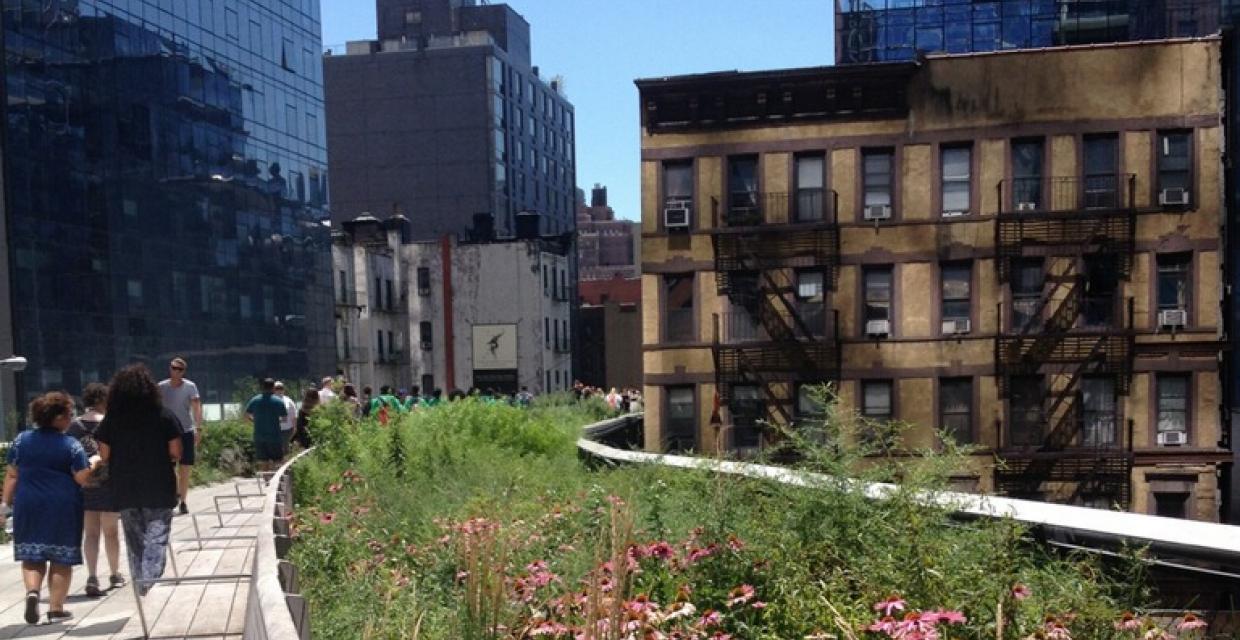 High Line Elevated Park in NYC - Photo - Frank Fernandez