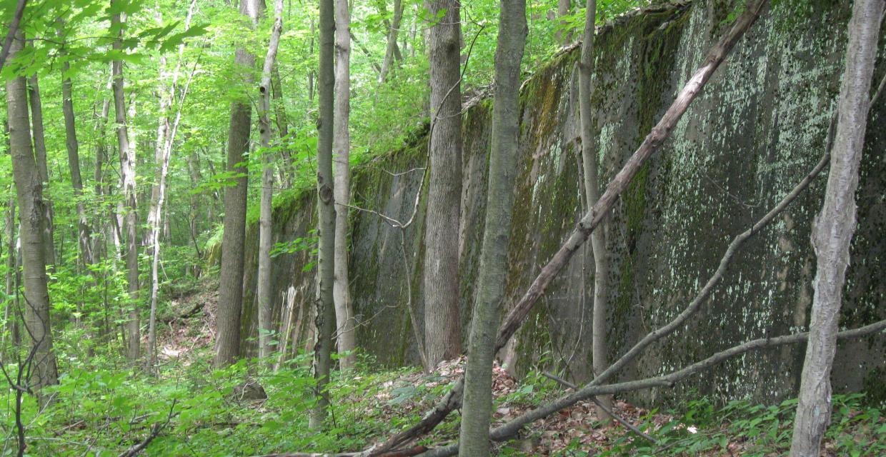 Crusher Wall at Cranberry Lake Preserve  Photo: Jane Danielsr