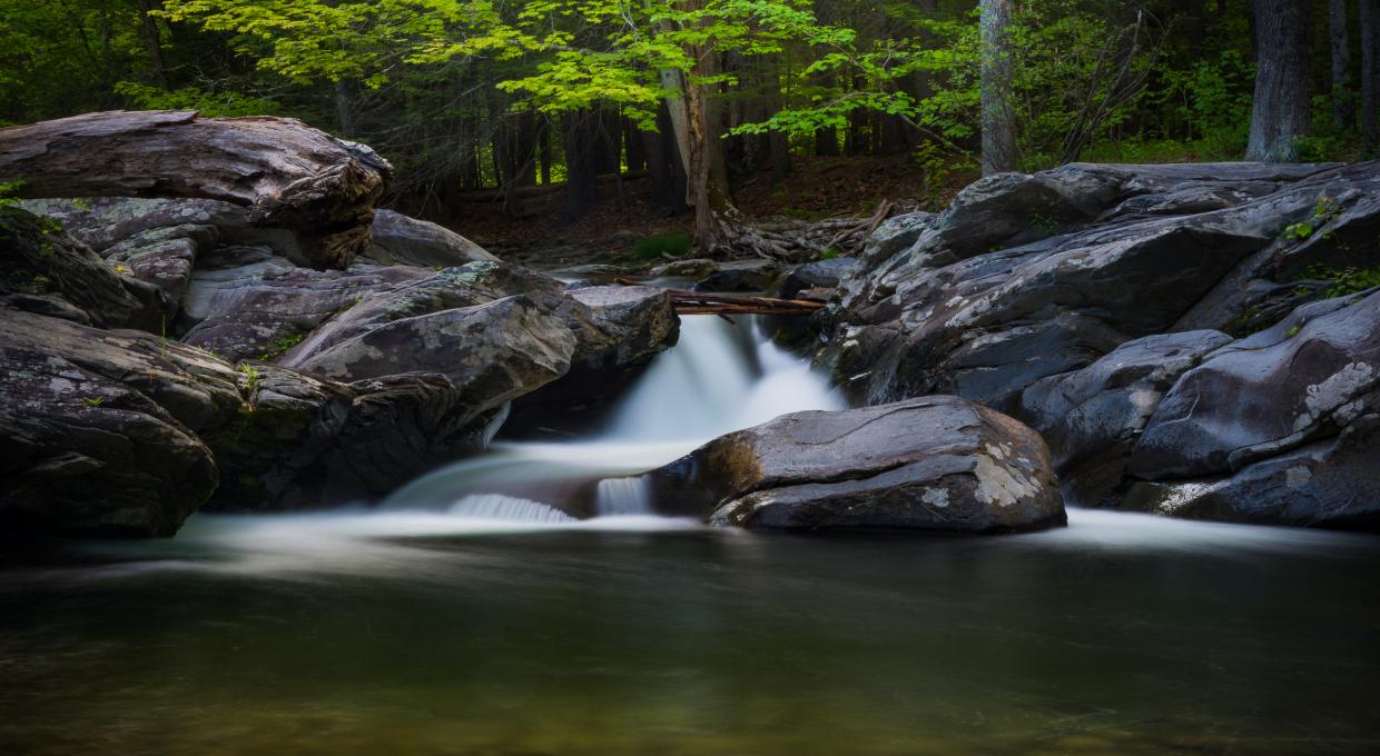 Pomeroy's Discovering the Long Path - Photo Steve Aaron