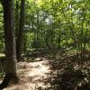 The Red Back Trail in Sterling Forest State Park. Photo by Erik Mickelson.